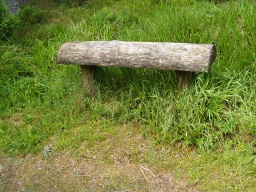 Image on trail